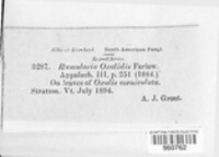 Image Associated With the Occurence